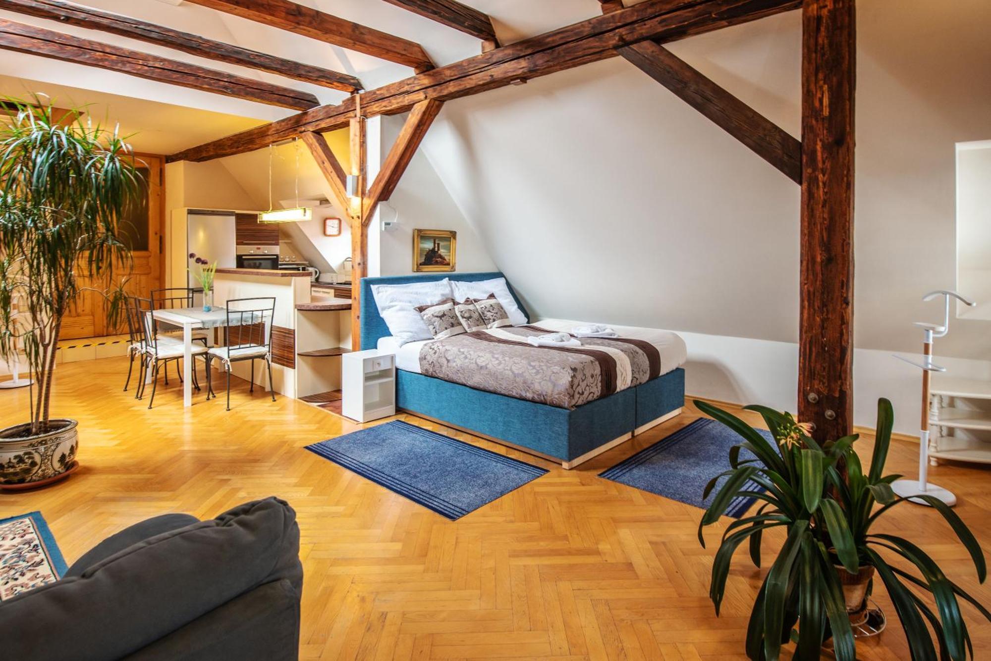 Ubytovani U Bile Pani Cesky Krumlov Room photo